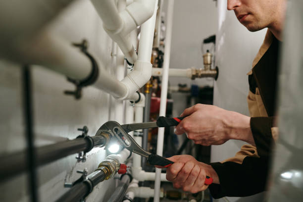 Best Garbage Disposal Repair and Installation  in Preston, IA